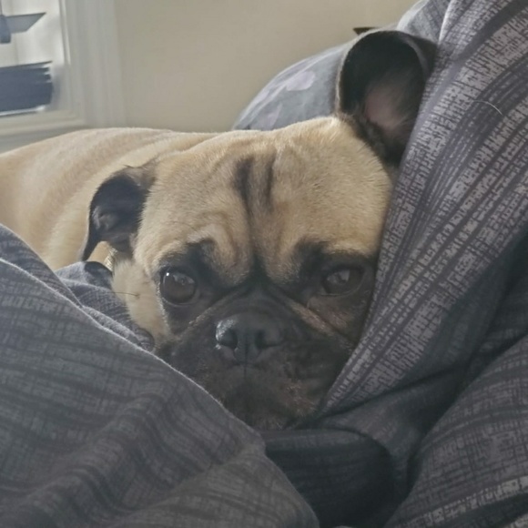 Meet your Posher, J - Picture 1 of 1